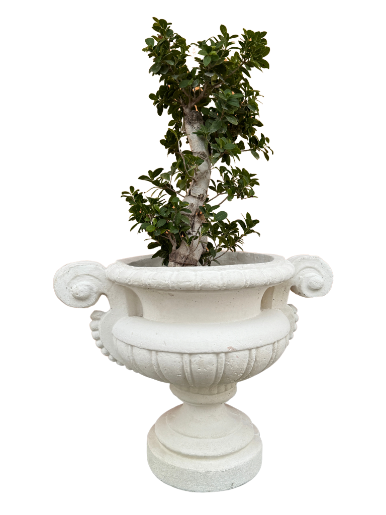 Vaso Loiano In Cemento - Bianco - Notaro Manufatti