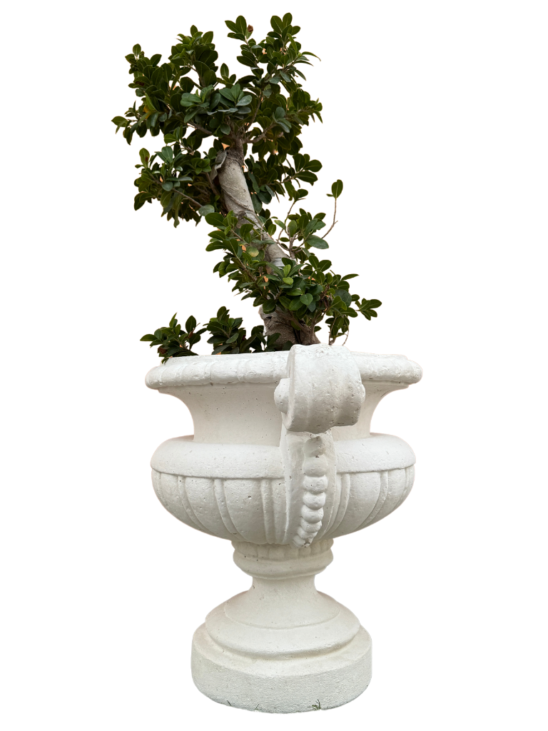 Vaso Loiano In Cemento - Bianco - Notaro Manufatti