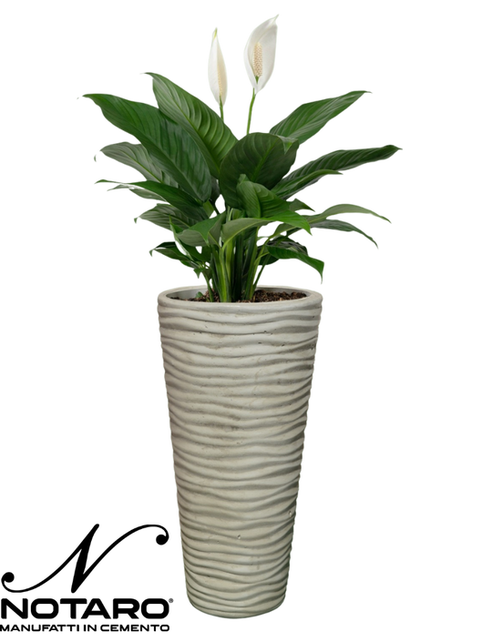 Vaso Onda Tondo Anticato Beige - Notaro Manufatti