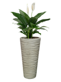 Vaso Onda Tondo Anticato Beige