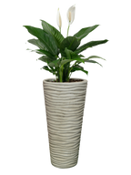 Vaso Onda Tondo Anticato Beige