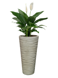 Vaso Onda Tondo Anticato Beige