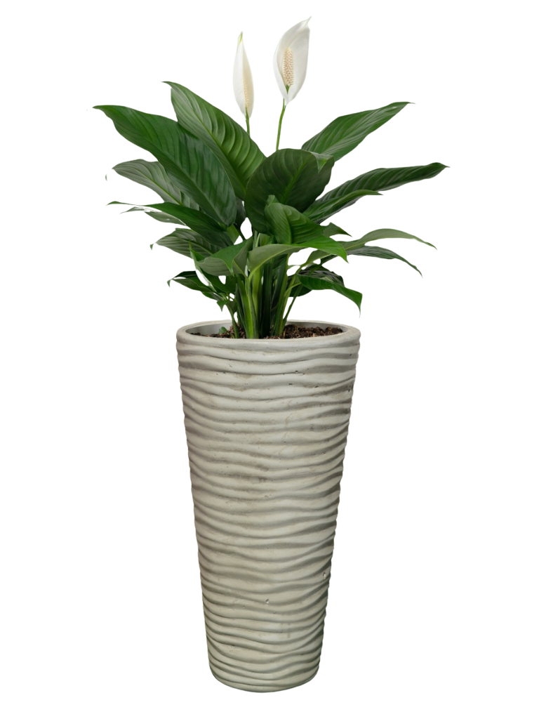 Vaso Onda Tondo Anticato Beige