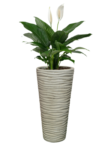 Vaso Onda Tondo Anticato Beige