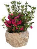 Vaso Sasso Tondo Alto Anticato Beige
