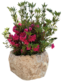 Vaso Sasso Tondo Alto Anticato Beige