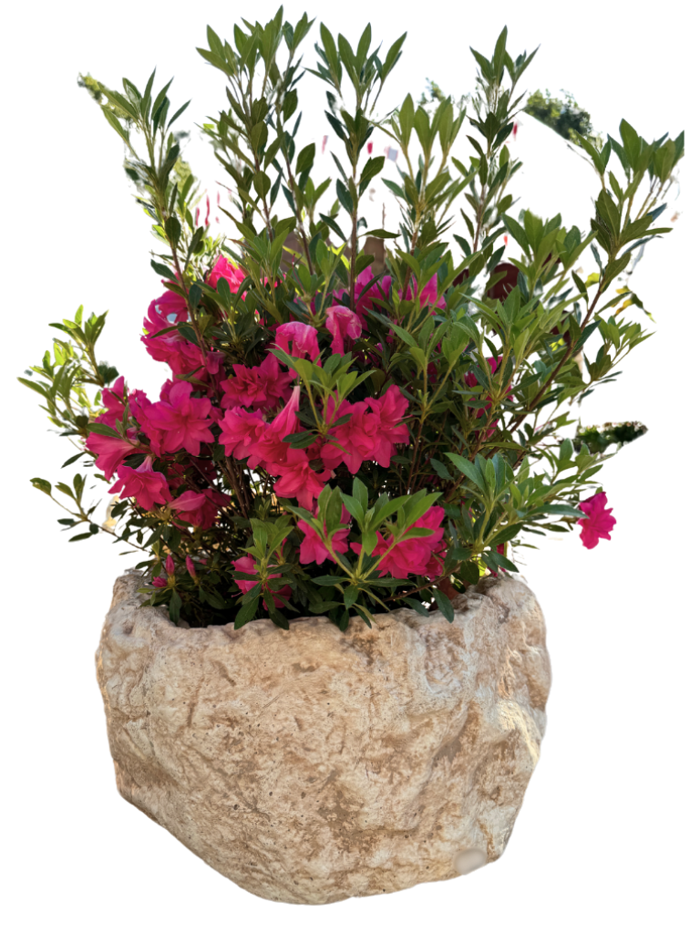 Vaso Sasso Tondo Alto Anticato Beige