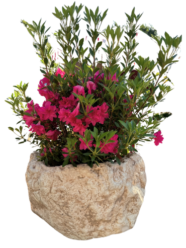 Vaso Sasso Tondo Alto Anticato Beige