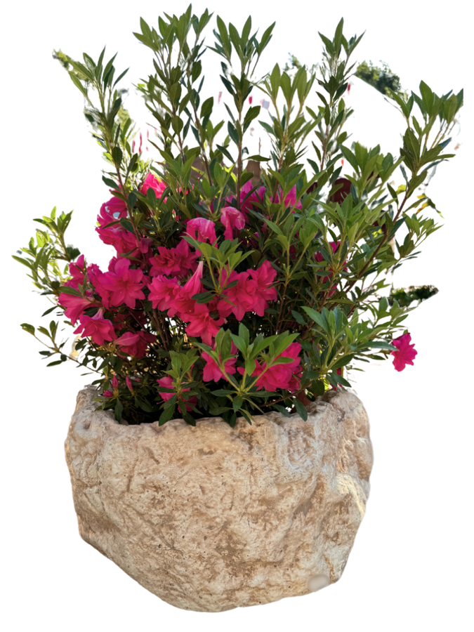 Vaso Sasso Tondo Alto Anticato Beige